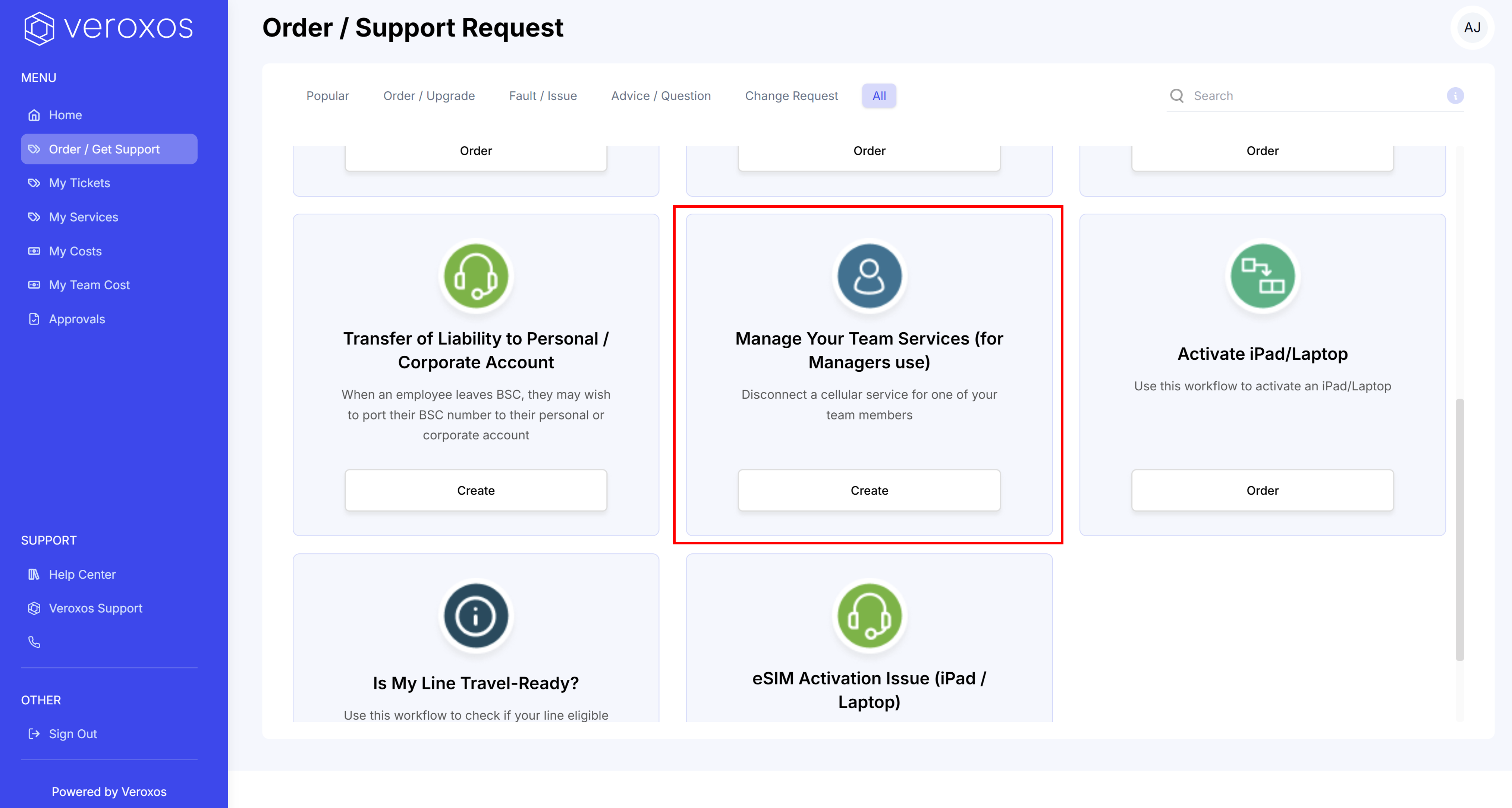 Get Support - Manage Team Services.png